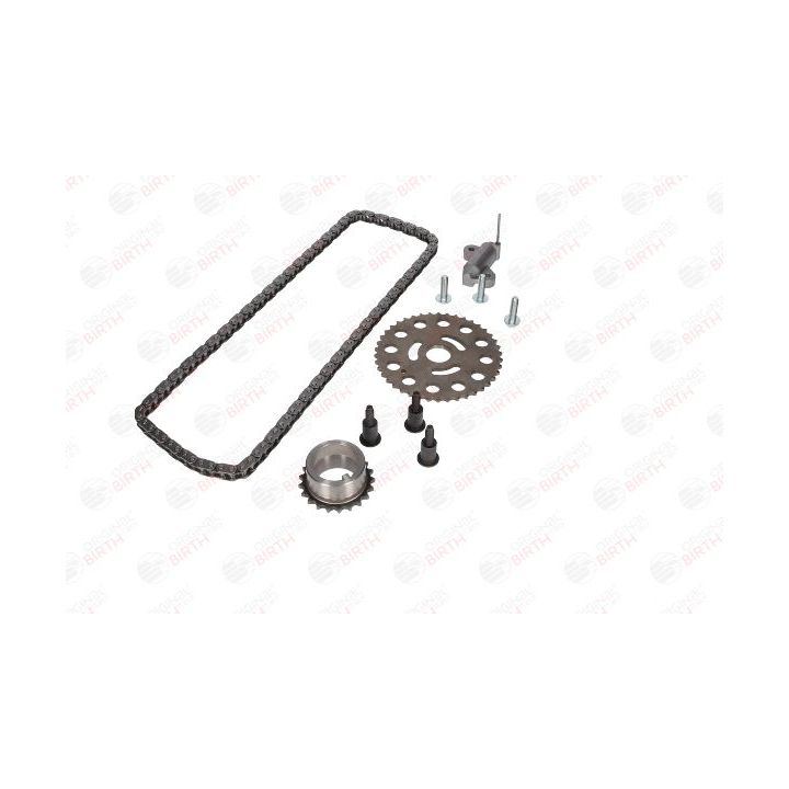 Paskirstymo grandinės komplektas BIRTH 6499