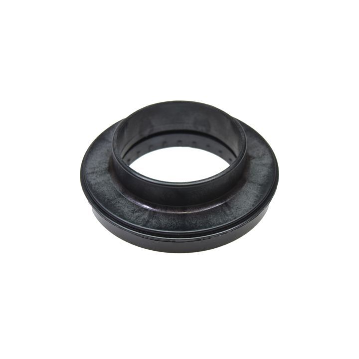 Frikcinis guolis, pakabos statramsčio atramos montavimas BIRTH 6206