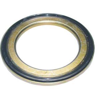 Frikcinis guolis, pakabos statramsčio atramos montavimas BIRTH 6420