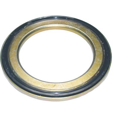 Frikcinis guolis, pakabos statramsčio atramos montavimas BIRTH 6420