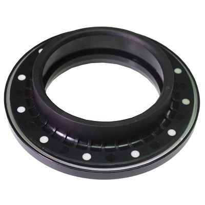 Frikcinis guolis, pakabos statramsčio atramos montavimas BIRTH 6593