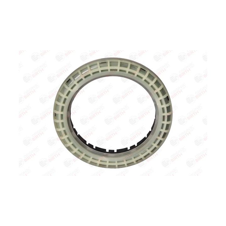 Frikcinis guolis, pakabos statramsčio atramos montavimas BIRTH 6604