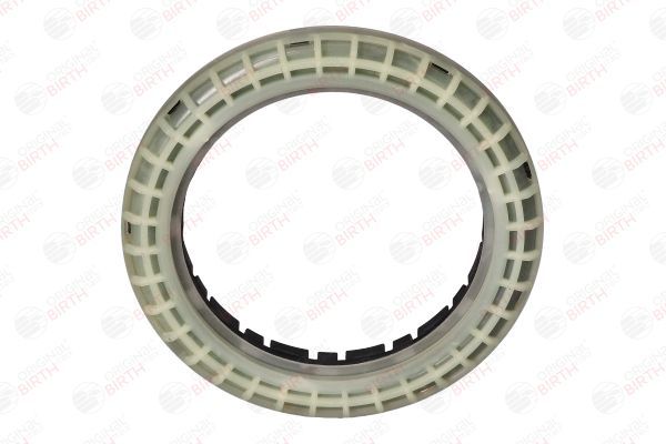 Frikcinis guolis, pakabos statramsčio atramos montavimas BIRTH 6604