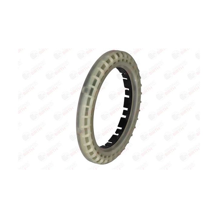 Frikcinis guolis, pakabos statramsčio atramos montavimas BIRTH 6604