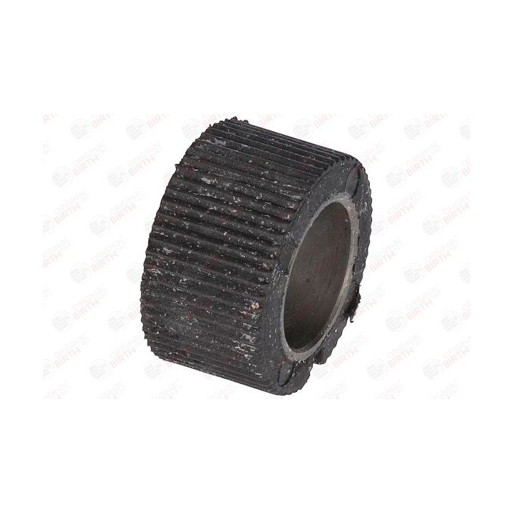 įvorė, vairo velenas BIRTH 4848