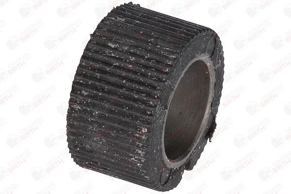 įvorė, vairo velenas BIRTH 4848