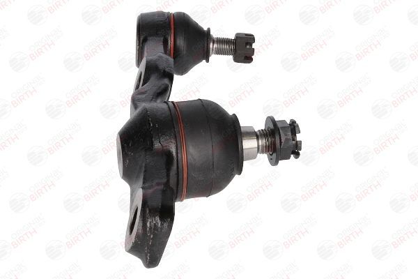 Šarnyras / girgždukas BIRTH CD0003