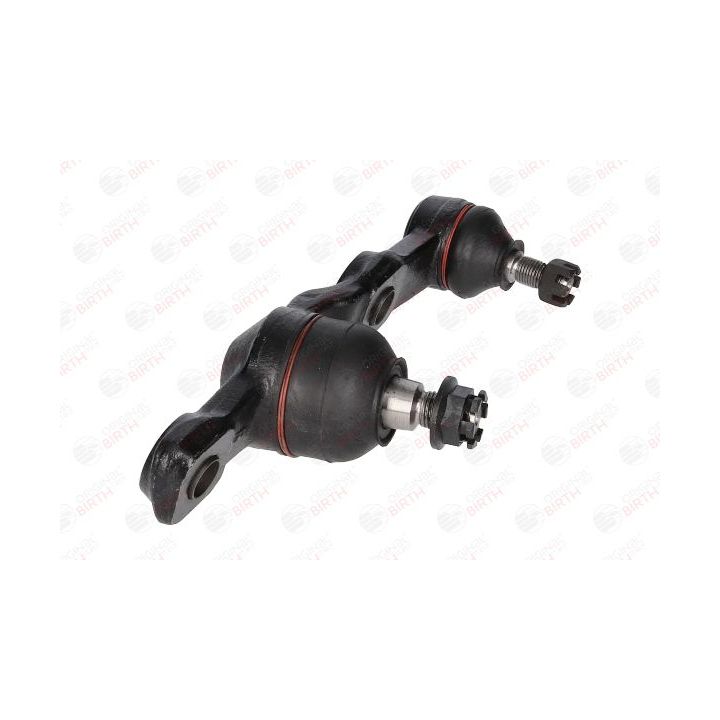 Šarnyras / girgždukas BIRTH CD0003