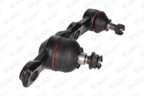 Šarnyras / girgždukas BIRTH CD0003