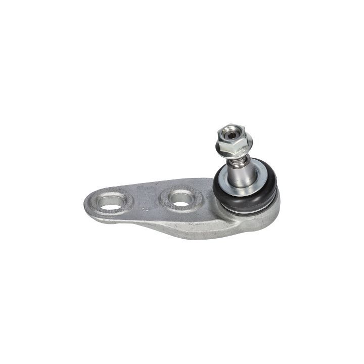 Šarnyras / girgždukas BIRTH CD0004