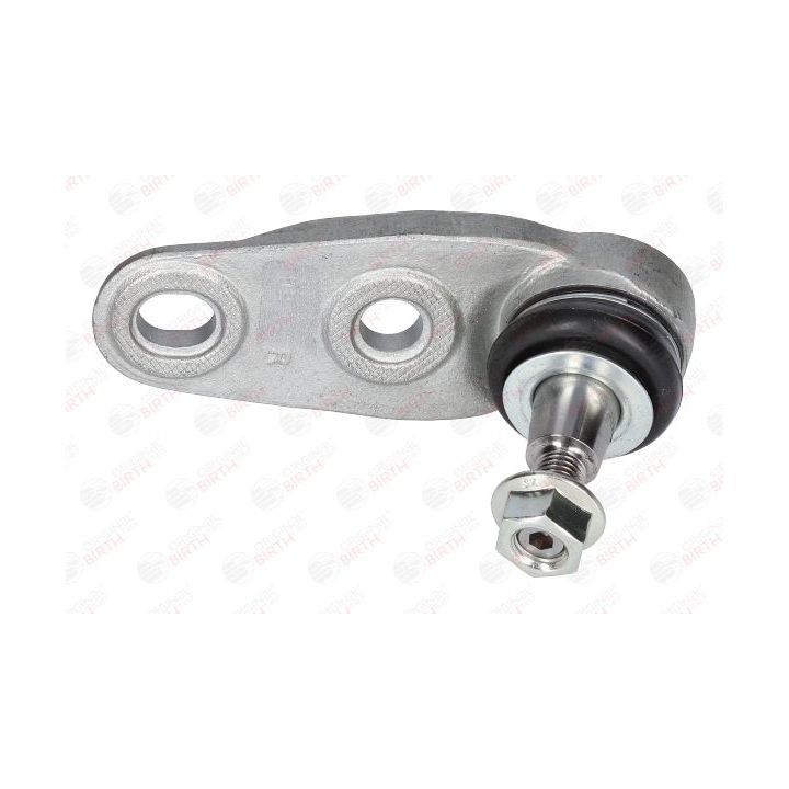 Šarnyras / girgždukas BIRTH CD0004