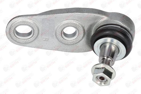 Šarnyras / girgždukas BIRTH CD0004