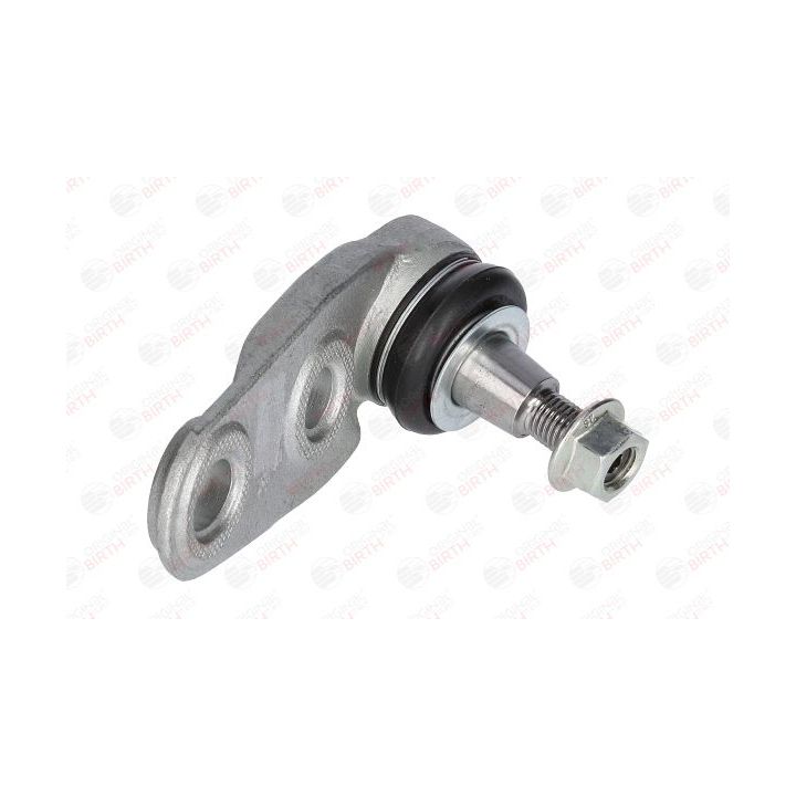 Šarnyras / girgždukas BIRTH CD0004