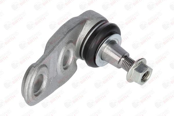 Šarnyras / girgždukas BIRTH CD0004