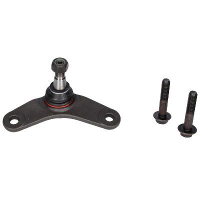 Šarnyras / girgždukas BIRTH CD0017