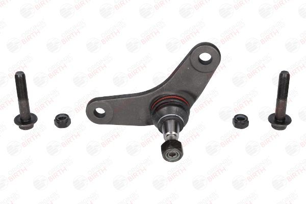 Šarnyras / girgždukas BIRTH CD0017