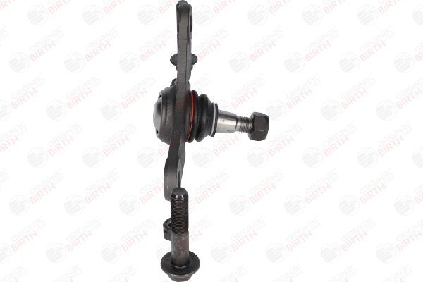 Šarnyras / girgždukas BIRTH CD0017