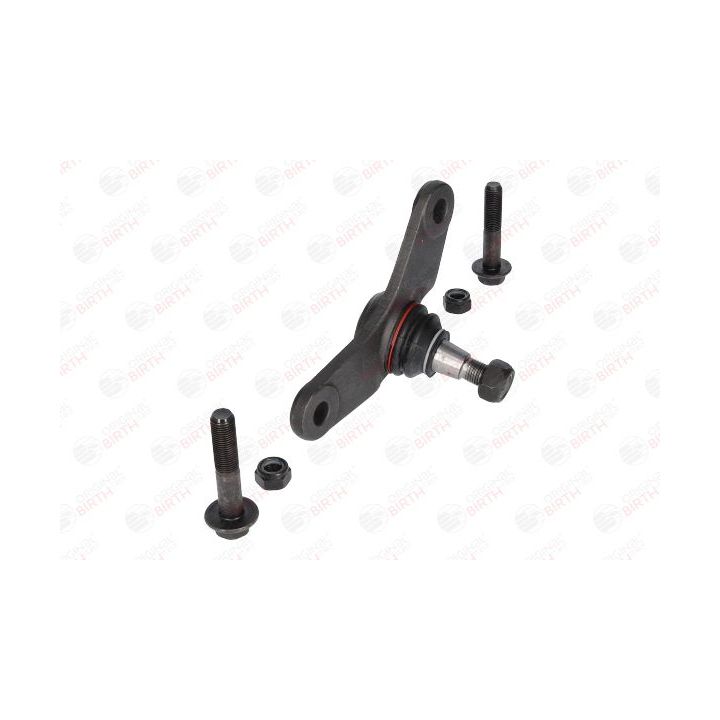 Šarnyras / girgždukas BIRTH CD0017