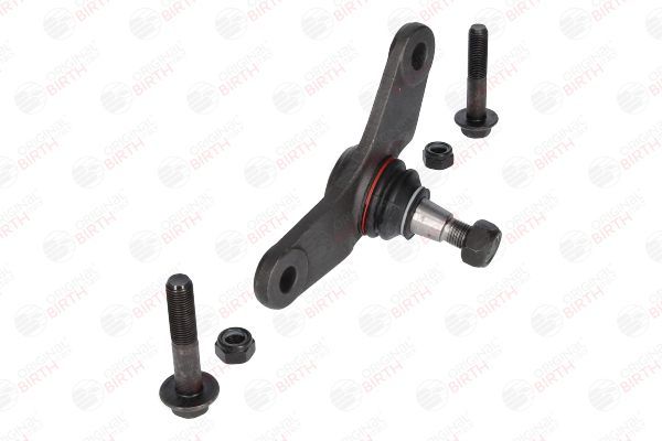 Šarnyras / girgždukas BIRTH CD0017