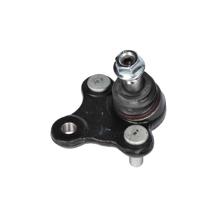 Šarnyras / girgždukas BIRTH CD3672