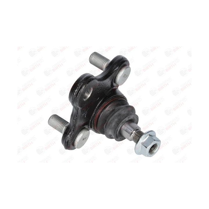 Šarnyras / girgždukas BIRTH CD3672