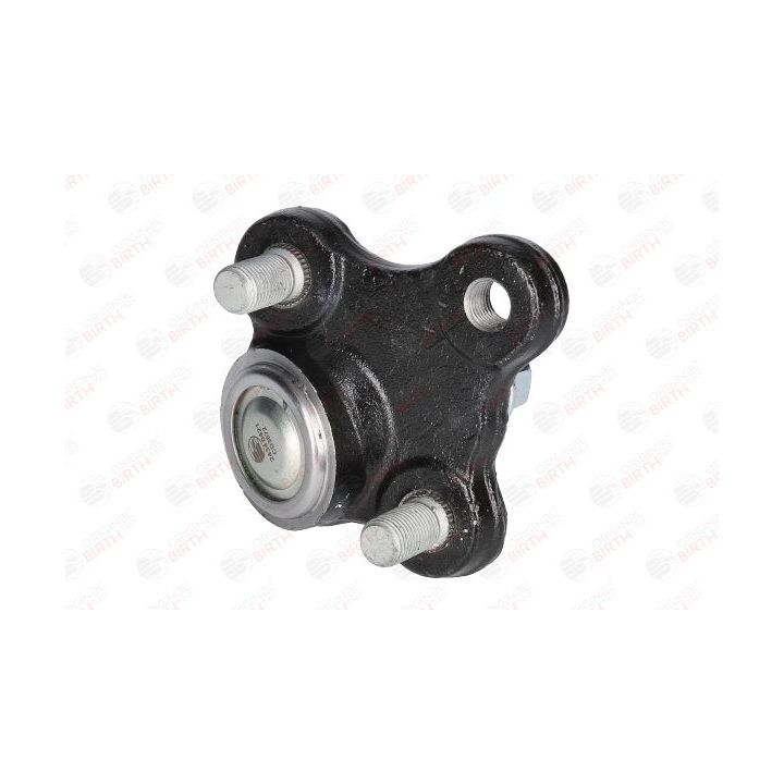 Šarnyras / girgždukas BIRTH CD3672