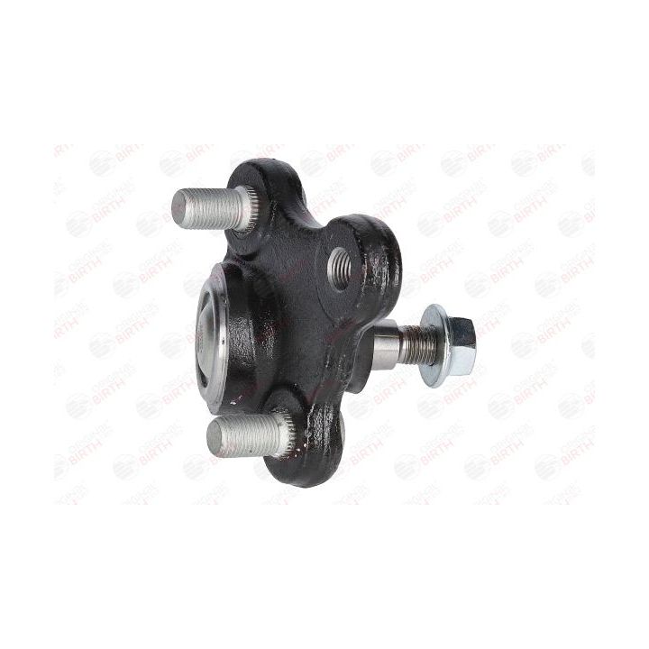 Šarnyras / girgždukas BIRTH CD3672