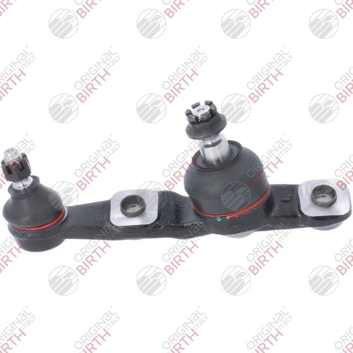 Šarnyras / girgždukas BIRTH CS0003