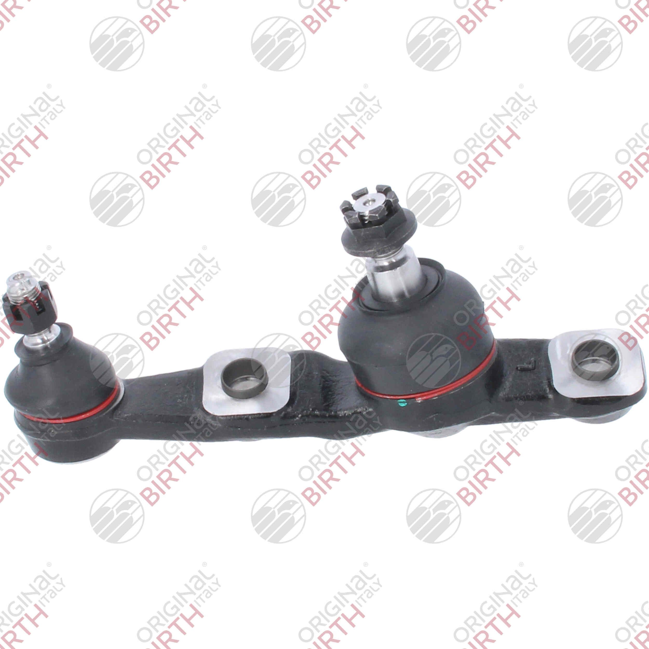 Šarnyras / girgždukas BIRTH CS0003