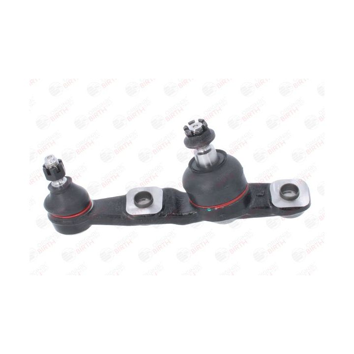 Šarnyras / girgždukas BIRTH CS0003