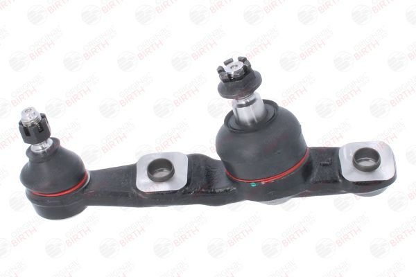 Šarnyras / girgždukas BIRTH CS0003