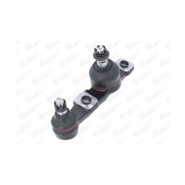 Šarnyras / girgždukas BIRTH CS0003