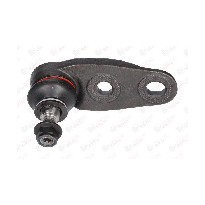 Šarnyras / girgždukas BIRTH CS0004