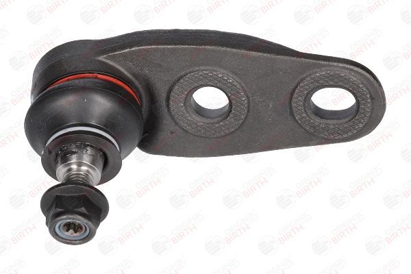 Šarnyras / girgždukas BIRTH CS0004