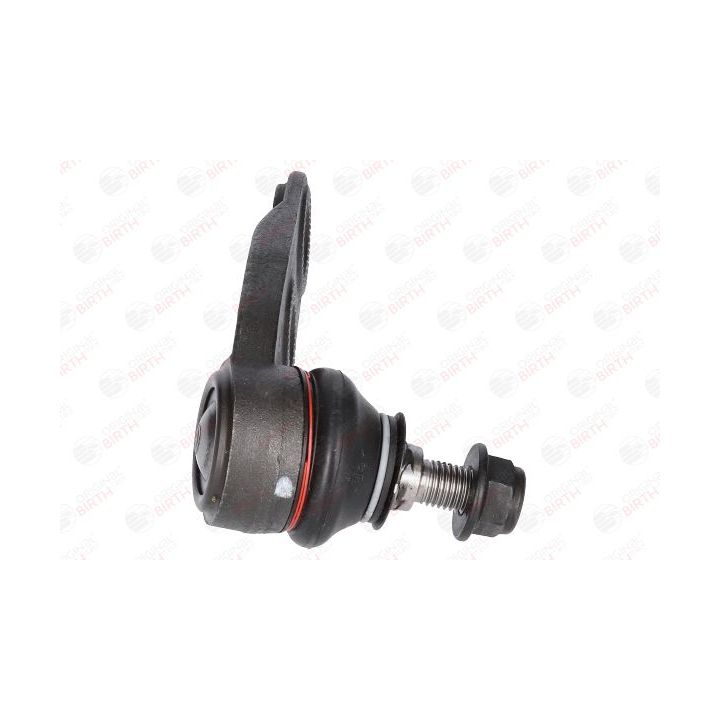 Šarnyras / girgždukas BIRTH CS0004