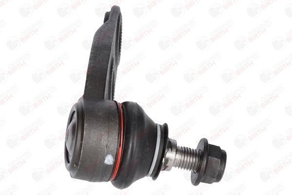 Šarnyras / girgždukas BIRTH CS0004