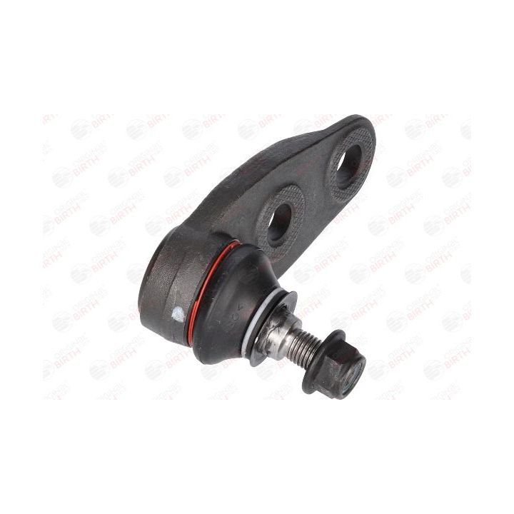 Šarnyras / girgždukas BIRTH CS0004