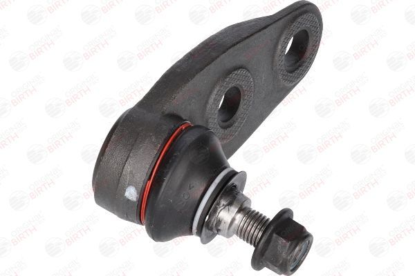 Šarnyras / girgždukas BIRTH CS0004