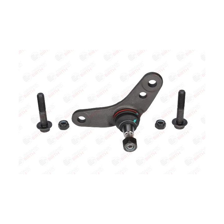 Šarnyras / girgždukas BIRTH CS0017