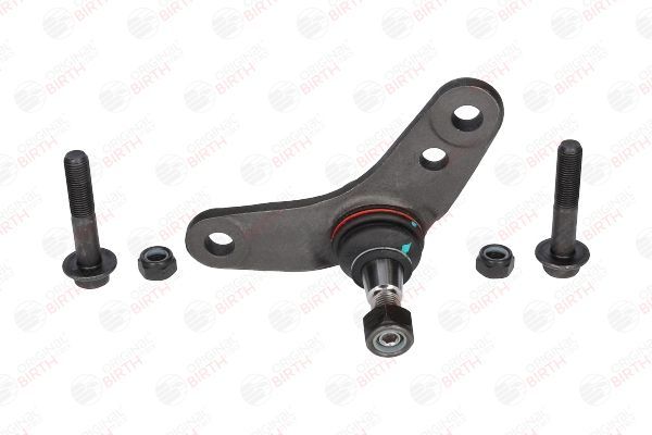 Šarnyras / girgždukas BIRTH CS0017