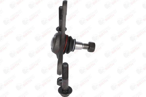 Šarnyras / girgždukas BIRTH CS0017