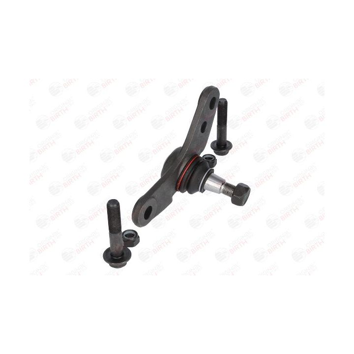 Šarnyras / girgždukas BIRTH CS0017