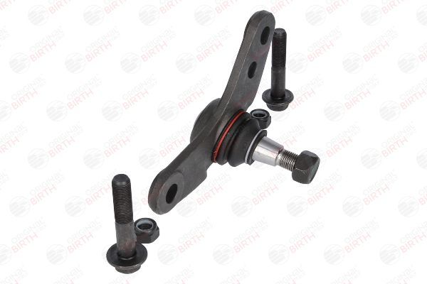 Šarnyras / girgždukas BIRTH CS0017