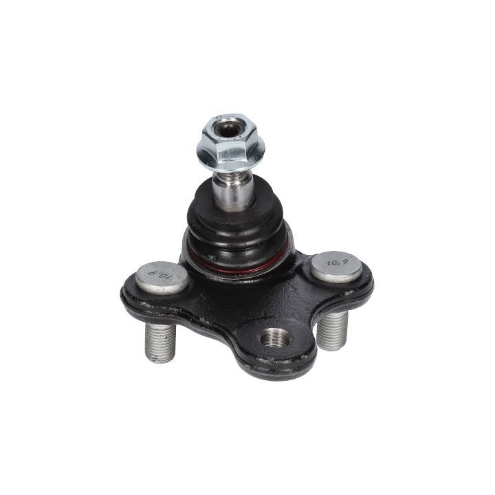 Šarnyras / girgždukas BIRTH CS3672