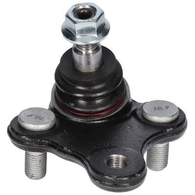 Šarnyras / girgždukas BIRTH CS3672