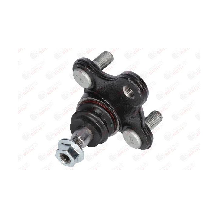 Šarnyras / girgždukas BIRTH CS3672