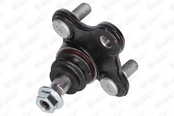 Šarnyras / girgždukas BIRTH CS3672