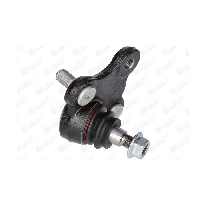 Šarnyras / girgždukas BIRTH CS3672