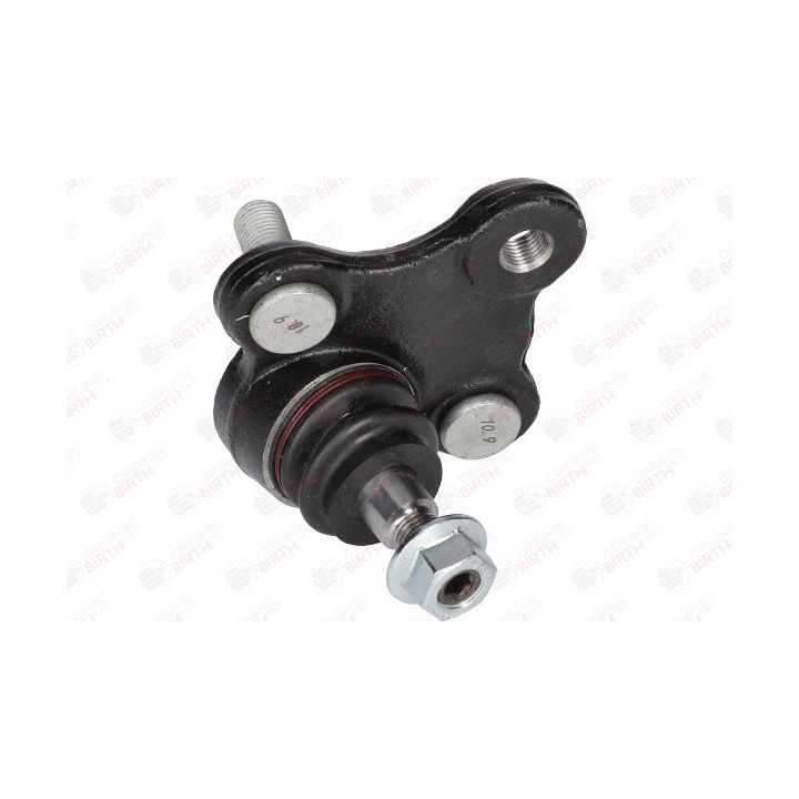 Šarnyras / girgždukas BIRTH CS3672