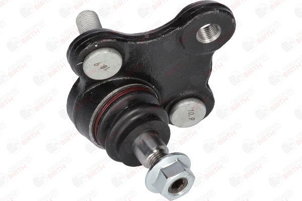 Šarnyras / girgždukas BIRTH CS3672